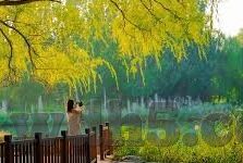 老板足球即时比分-深度解析老板足球即时比分，球迷的必备神器还是信息过载的陷阱？